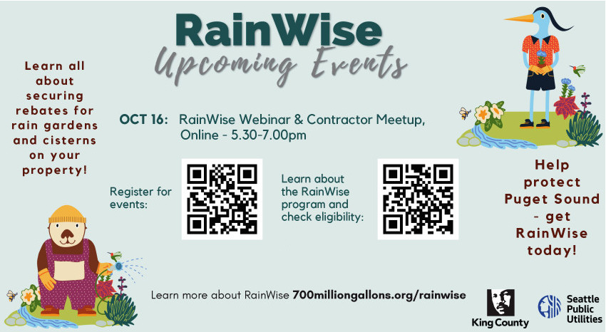 Rain Wise, Oct 2024